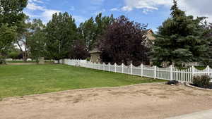 View of side yard