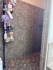 Full bath with tiled shower
