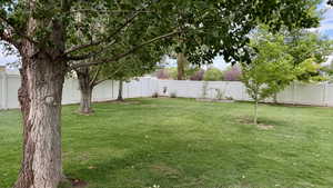 View of fenced backyard