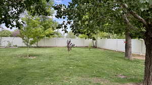 View of fenced backyard