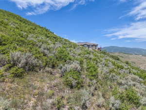 View of mountain background