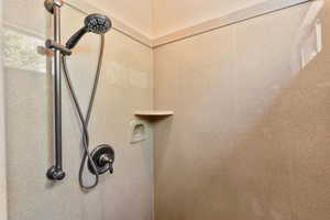Primary Bedroom Walk-in shower