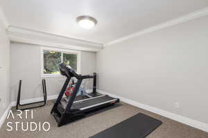 Exercise room featuring crown molding and carpet