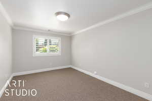 Spare room featuring carpet floors and ornamental molding