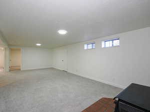 Below grade area with carpet flooring and a textured ceiling