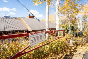 Exterior view of a chimney and a metal roof