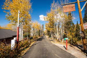 View of asphalt road