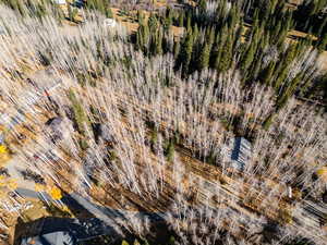 Aerial overview of property's location