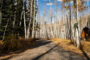 View of road with a wooded view