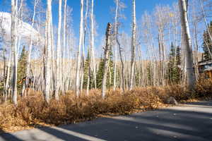View of road