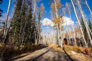 View of road