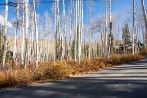 View of asphalt road