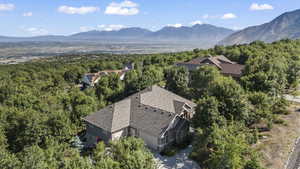 View from above of property with a mountainous background and a forest
