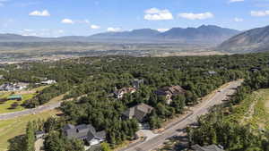Aerial view of a mountainous background and a forest