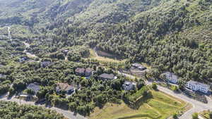 Aerial view of a forest