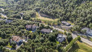 Aerial perspective of suburban area featuring a heavily wooded area