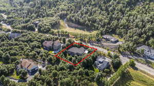Aerial view of residential area featuring a heavily wooded area and property boundaries highlighted
