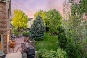 Yard at dusk featuring a yard