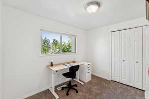 Carpeted home office with baseboards