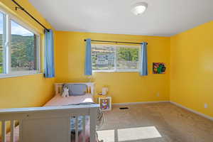 Bedroom with multiple windows and carpet flooring