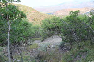View of mountain backdrop