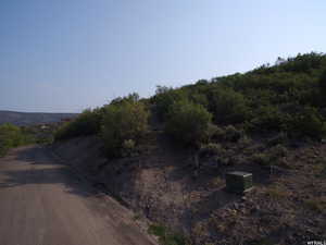 View of dirt / gravel road