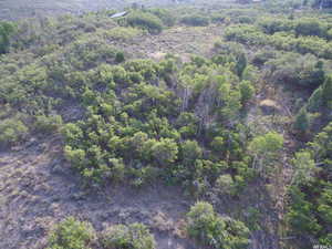 Aerial view of property's location