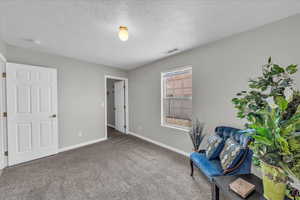 Living area with carpet and a textured ceiling