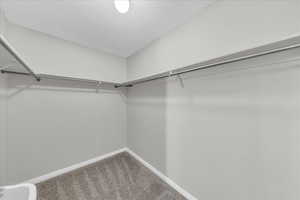 Spacious closet featuring carpet flooring
