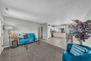 Living room featuring baseboards and a textured ceiling