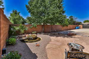 Backyard water feature