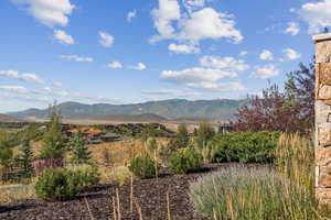 View of mountain background