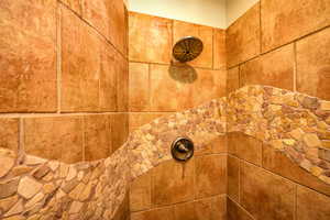 Bathroom view of tiled shower