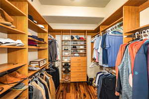Spacious closet with dark wood-type flooring