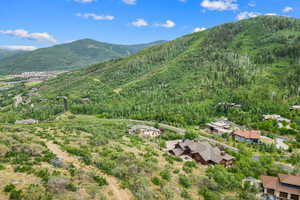 View of mountain background with a forest