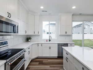 Kitchen with stainless steel appliances, dark wood-style floors, healthy amount of natural light, decorative backsplash, and recessed lighting