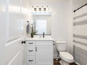 Bathroom with vanity, wood finished floors, and a shower with curtain