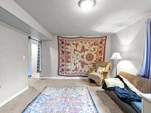 Sitting room featuring carpet flooring and a textured ceiling