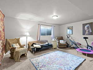 Sitting room featuring carpet and a textured ceiling