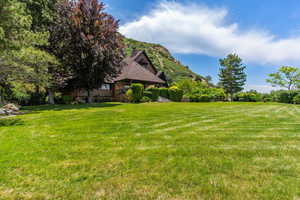 View of grassy yard