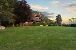 Yard at dusk with a lawn