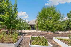 View of yard featuring a vegetable garden