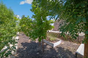 View of yard with a garden