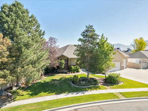 Tree filled front yard, with concrete driveway, an attached 3 car garage, and stucco siding