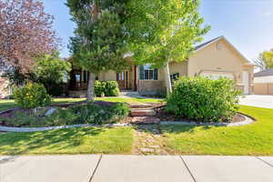 Tree filled front yard, with concrete driveway, an attached 3 car garage, and stucco siding