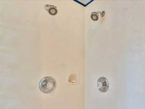 Primary Bathroom double shower heads