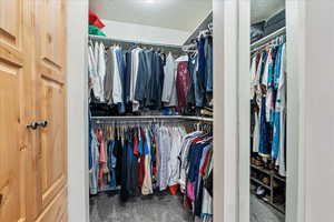 Primary Bedroom walk in closet featuring carpet flooring