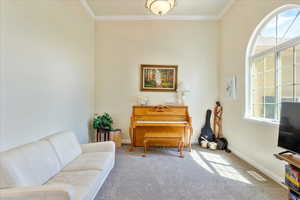 Sitting room with carpet and crown molding