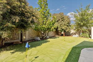 Fenced backyard featuring a putting green