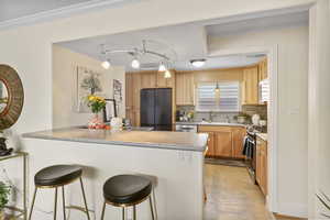 Kitchen featuring stainless steel appliances, a peninsula, tasteful backsplash, a kitchen bar, and light countertops